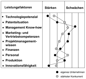 Beispiel für ein Stärken-Schwächen-Profil
