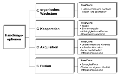 Handlungsoptionen für die weitere Unternehmensentwicklung